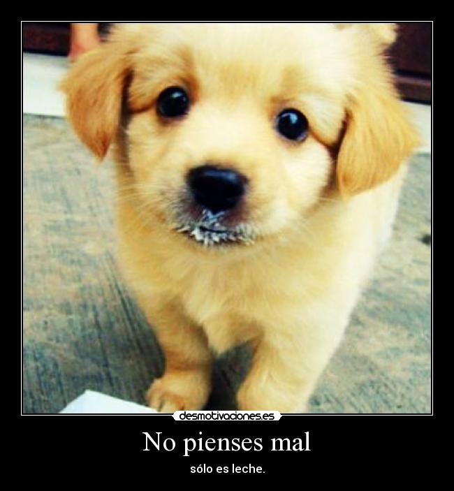 No pienses mal -