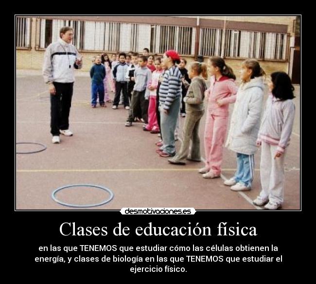 Clases de educación física -