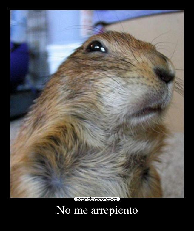 carteles las ardillas molan desmotivaciones