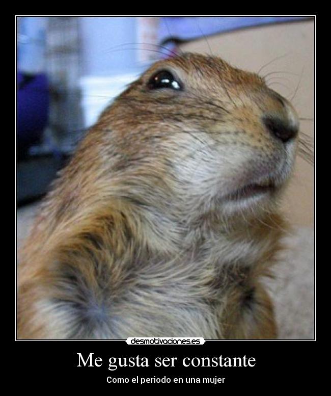 carteles las ardillas molan desmotivaciones