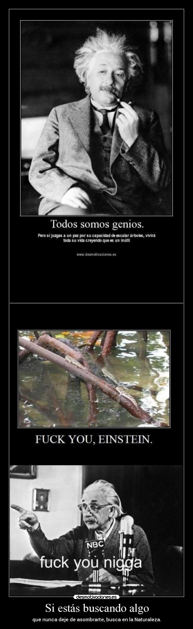 Si estás buscando algo - que nunca deje de asombrarte, busca en la Naturaleza.