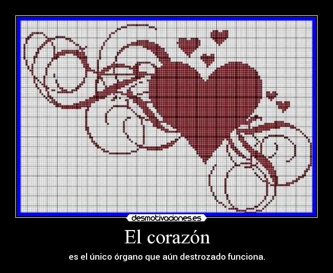 El corazón - es el único órgano que aún destrozado funciona.