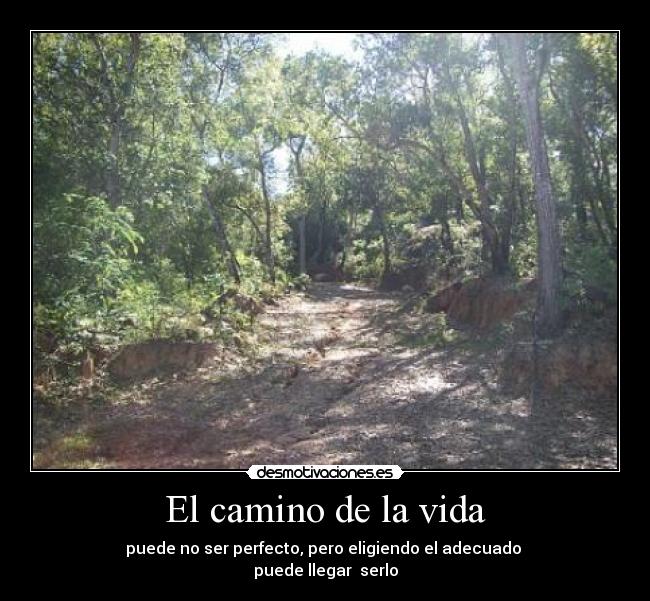 El camino de la vida -