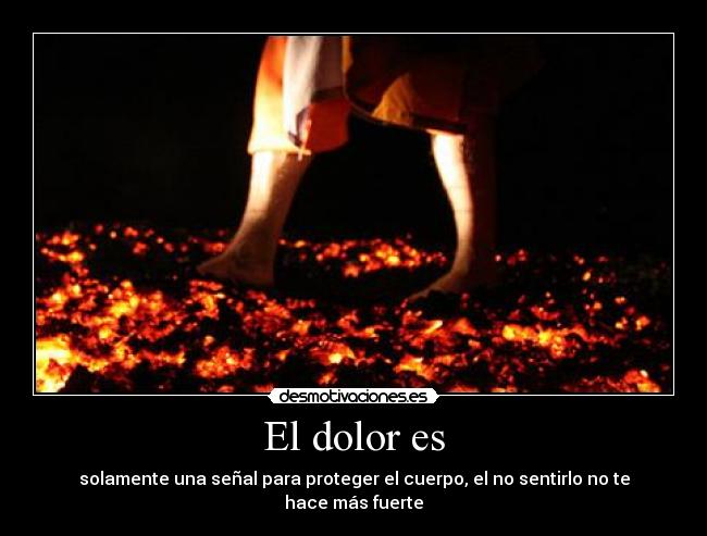 El dolor es -