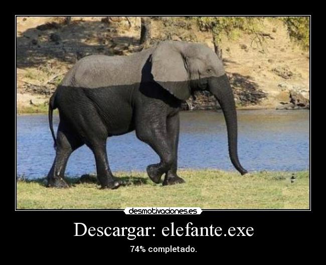 Descargar: elefante.exe - 74% completado.