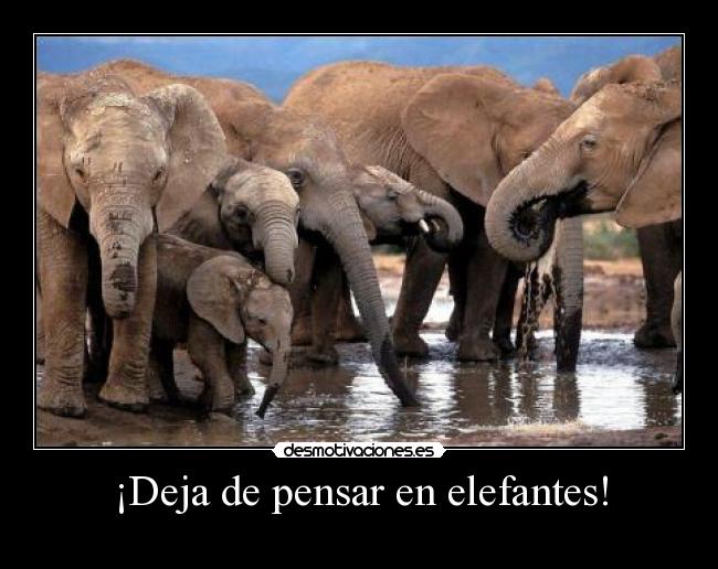 ¡Deja de pensar en elefantes! - 