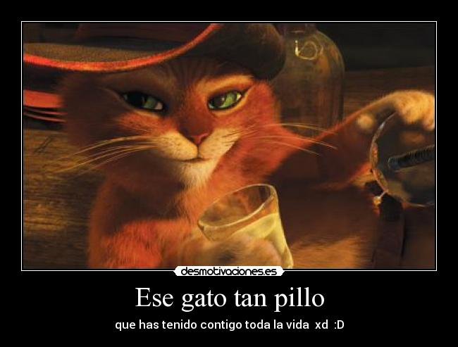 Ese gato tan pillo - que has tenido contigo toda la vida  xd  :D