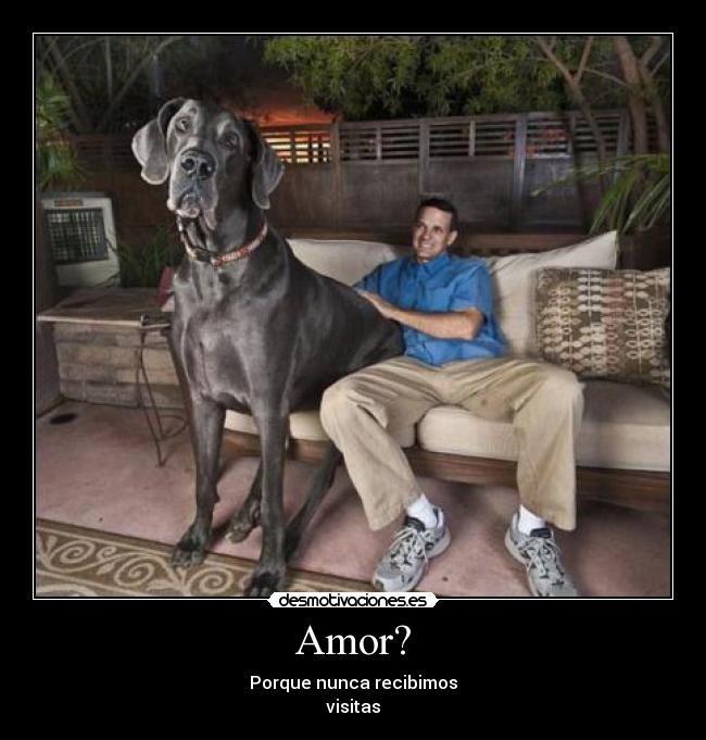 Amor? - Porque nunca recibimos
visitas