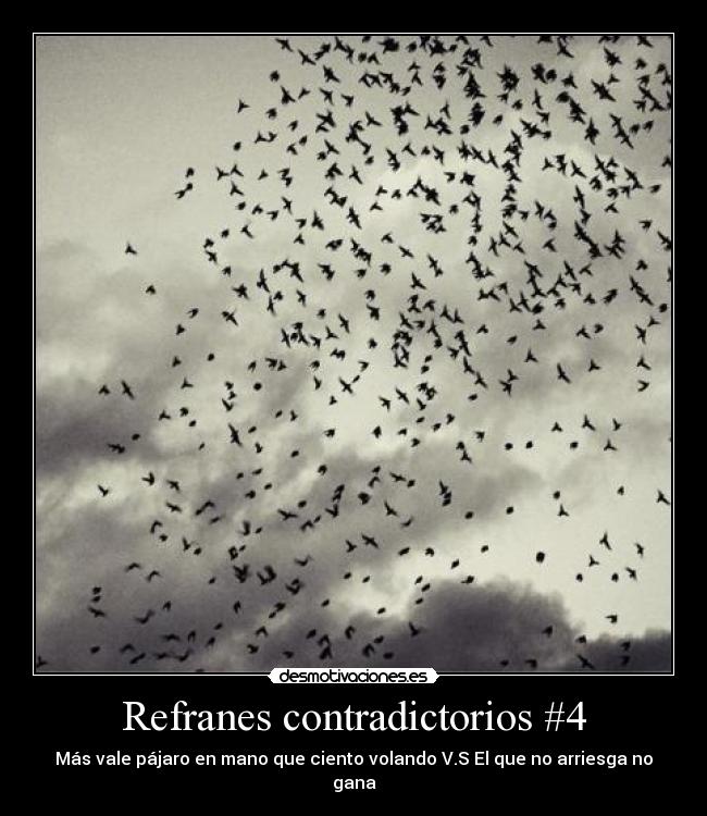Refranes contradictorios #4 - Más vale pájaro en mano que ciento volando V.S El que no arriesga no gana