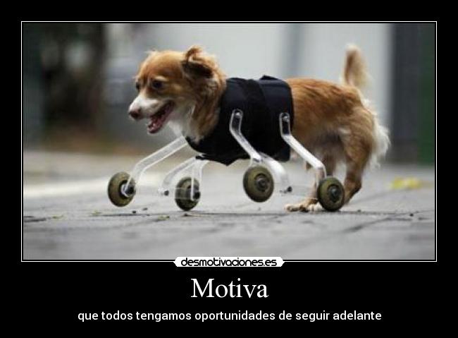 Motiva - que todos tengamos oportunidades de seguir adelante