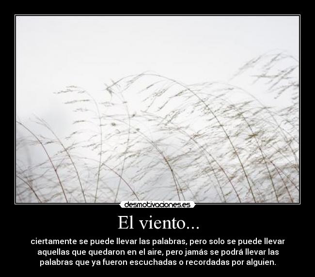 carteles palabras viento llevar recordar escuchar desmotivaciones