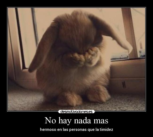 No hay nada mas -