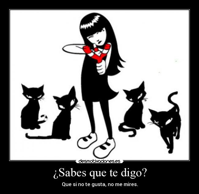 carteles emily cats strange desmotivaciones