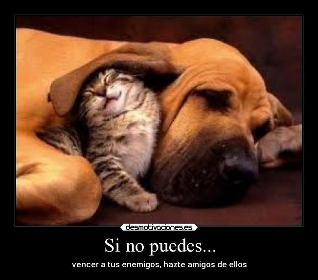 Si no puedes... - 