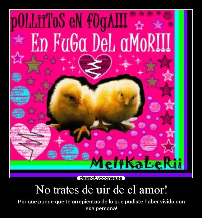 carteles amor amor vivir vida desmotivaciones