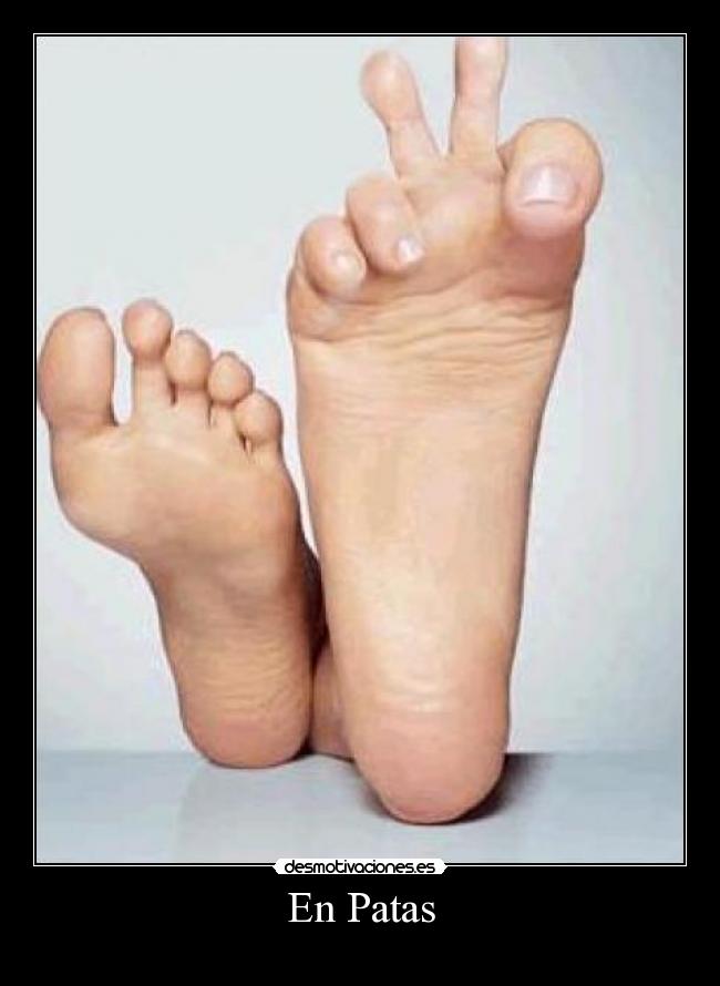 En Patas -