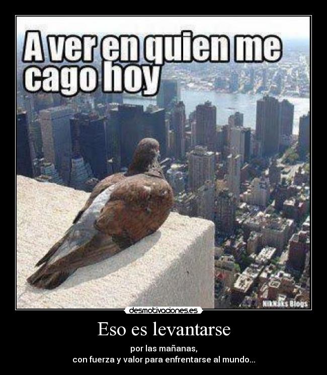 Eso es levantarse - por las mañanas,
con fuerza y valor para enfrentarse al mundo...