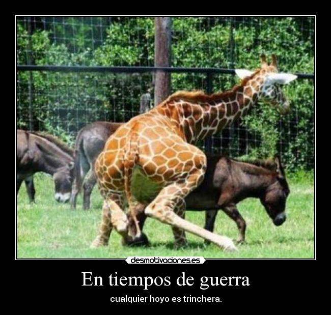 En tiempos de guerra - cualquier hoyo es trinchera.