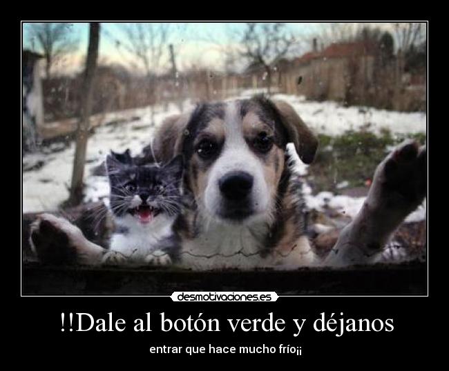 !!Dale al botón verde y déjanos - 