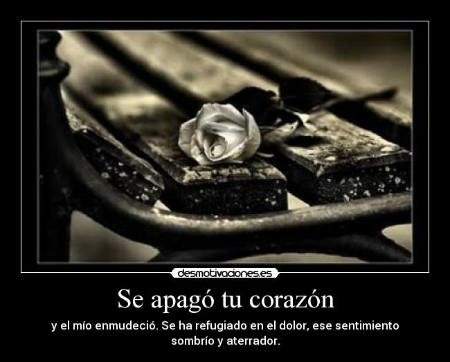 carteles corazon dolor desmotivaciones