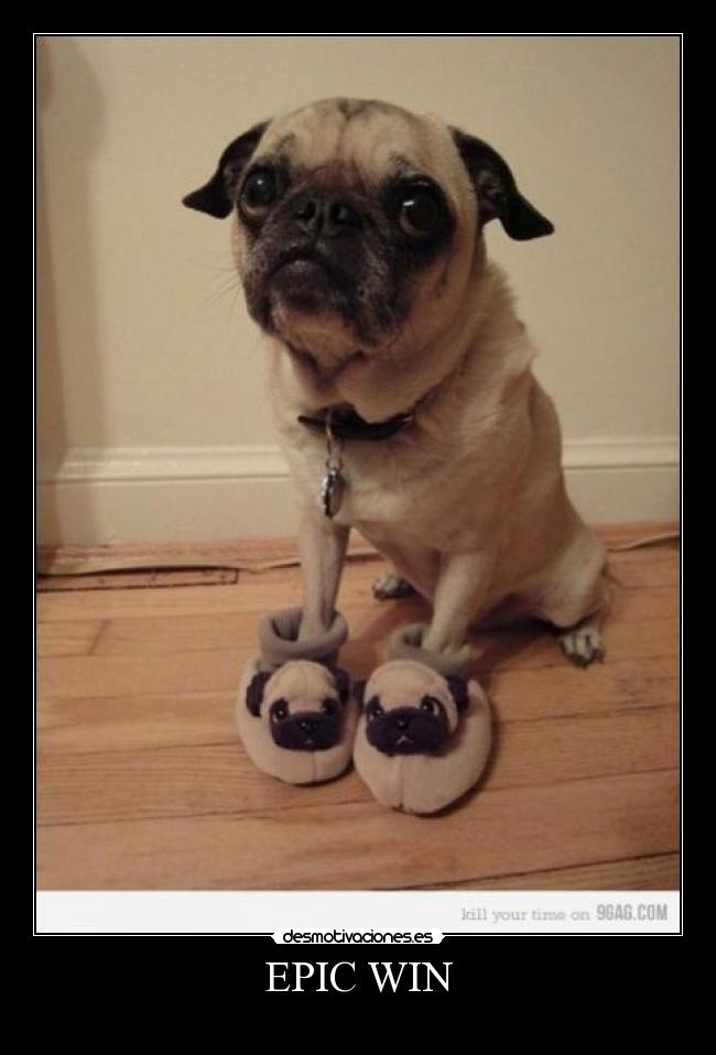 EPIC WIN -