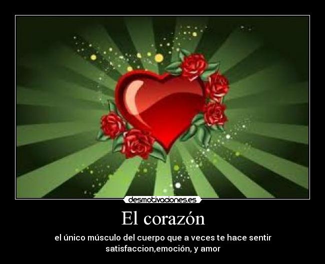 El corazón -