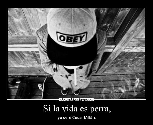 Si la vida es perra, - yo seré Cesar Millán.