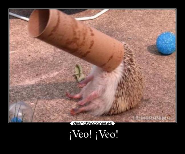 ¡Veo! ¡Veo! -