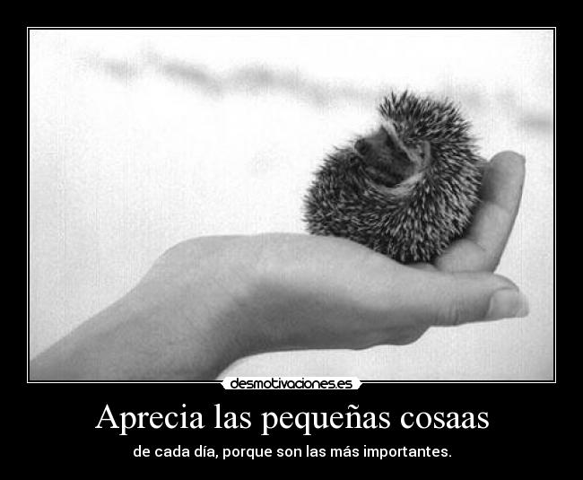 Aprecia las pequeñas cosaas - 