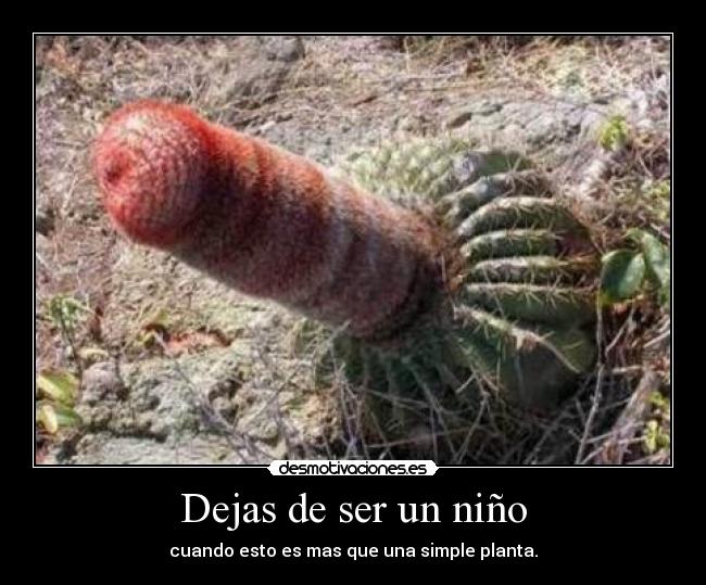 Dejas de ser un niño - 