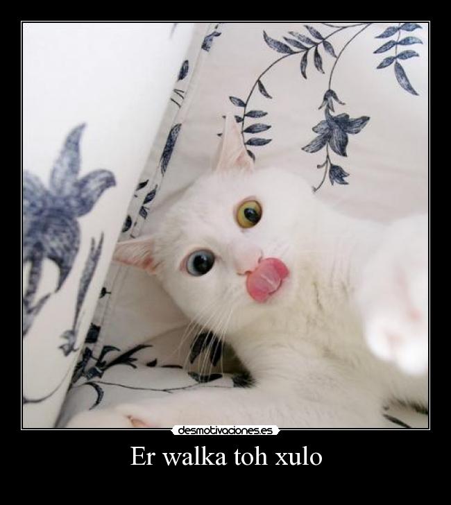 Er walka toh xulo -