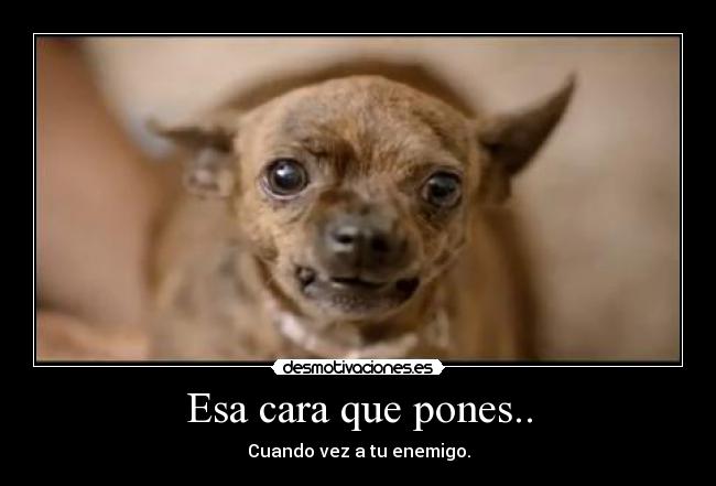 Esa cara que pones.. - Cuando vez a tu enemigo.