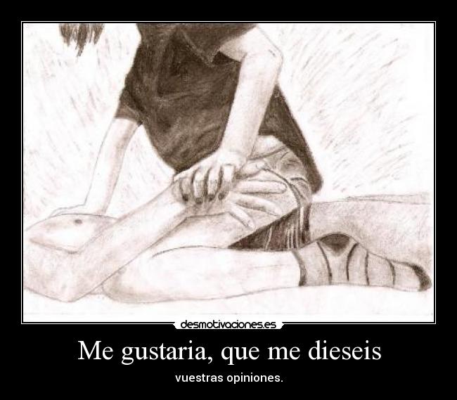 Me gustaria, que me dieseis - vuestras opiniones.