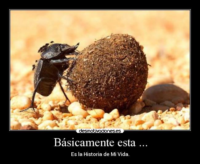 carteles basicamente historia vida nikorural desmotivaciones