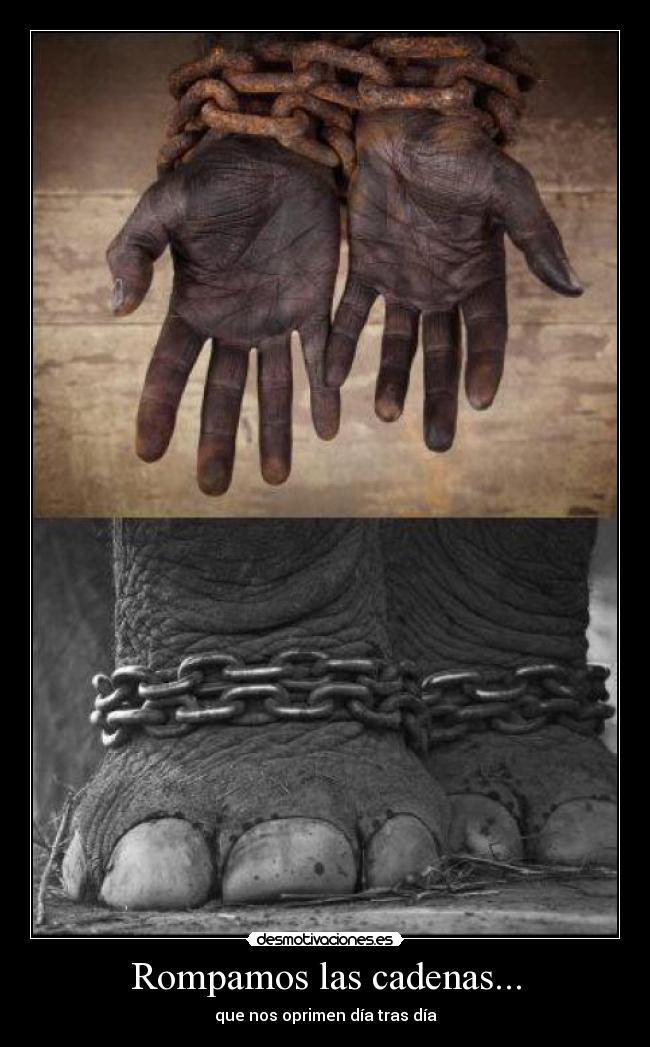 Rompamos las cadenas... -