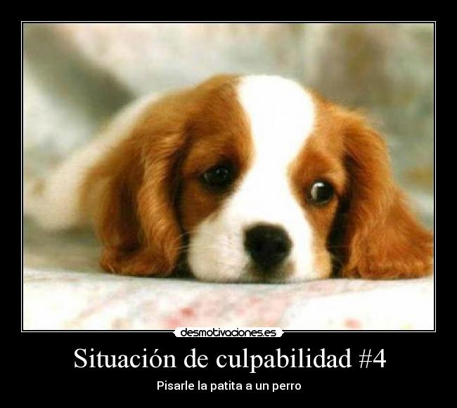 carteles alsadimi desmotivaciones