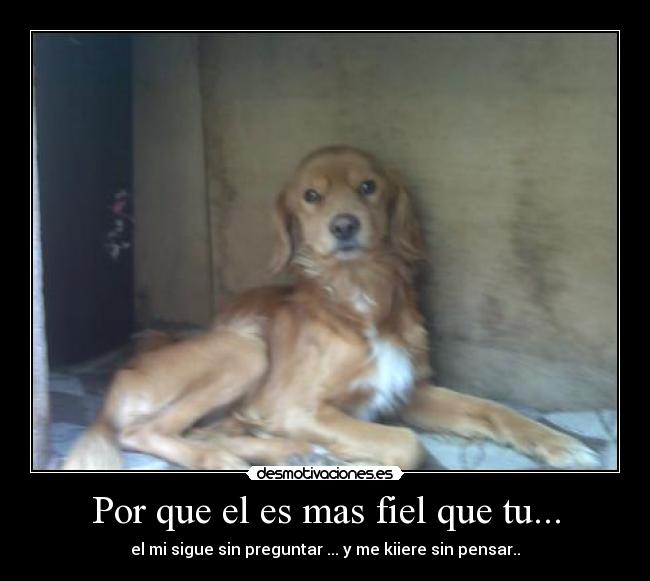 carteles gene desmotivaciones