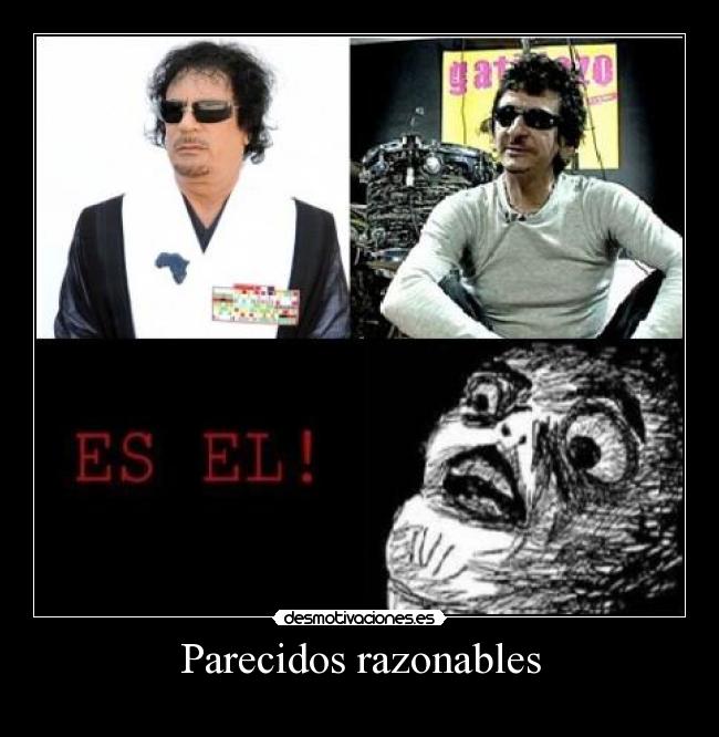 Parecidos razonables - 