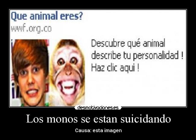 Los monos se estan suicidando - 
