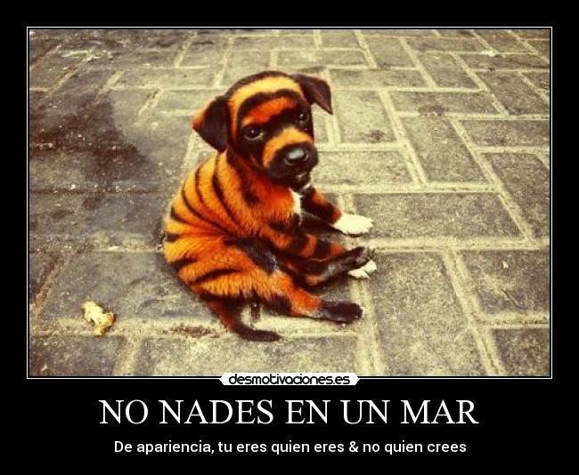 NO NADES EN UN MAR - De apariencia, tu eres quien eres & no quien crees