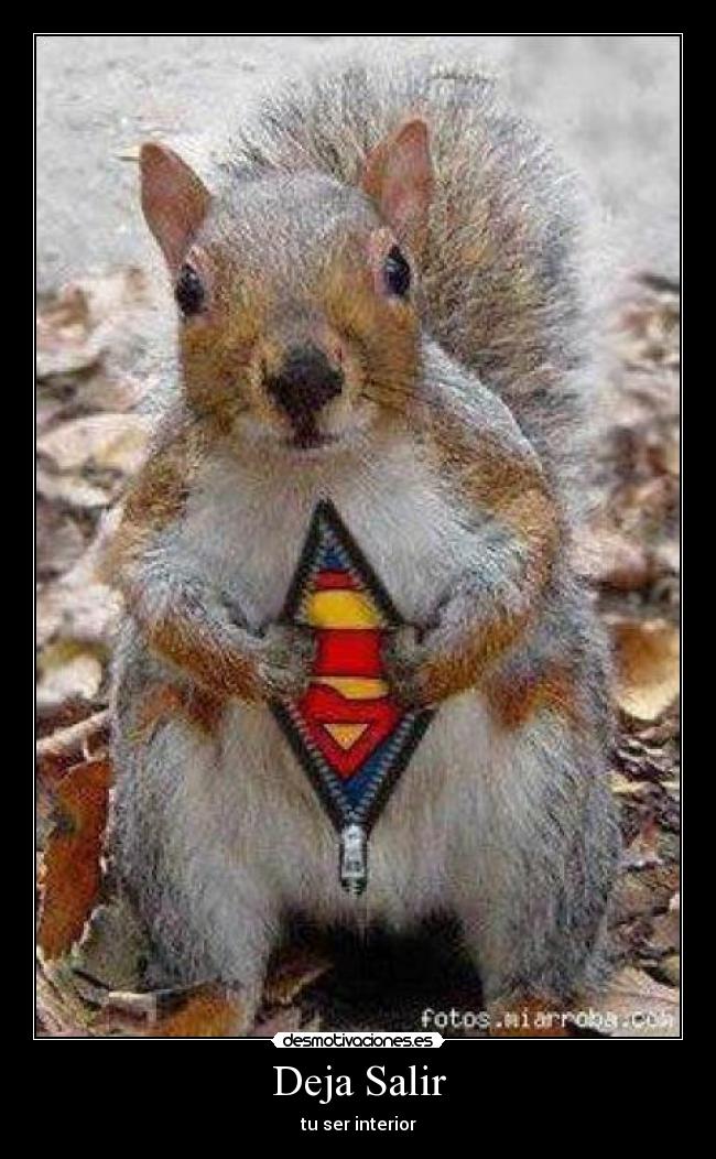 Deja Salir - tu ser interior