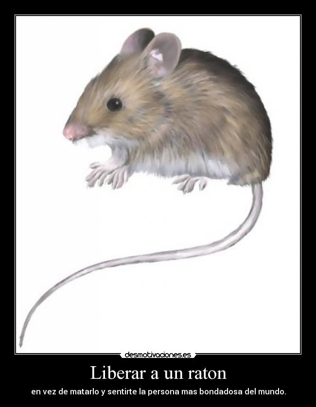 Liberar a un raton -