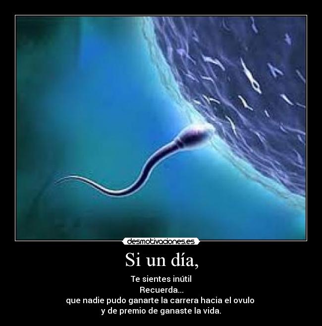 Si un día, - Te sientes inútil
Recuerda...
que nadie pudo ganarte la carrera hacia el ovulo
y de premio de ganaste la vida.