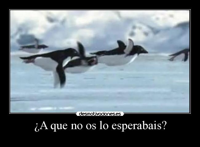 carteles huehuehue desmotivaciones