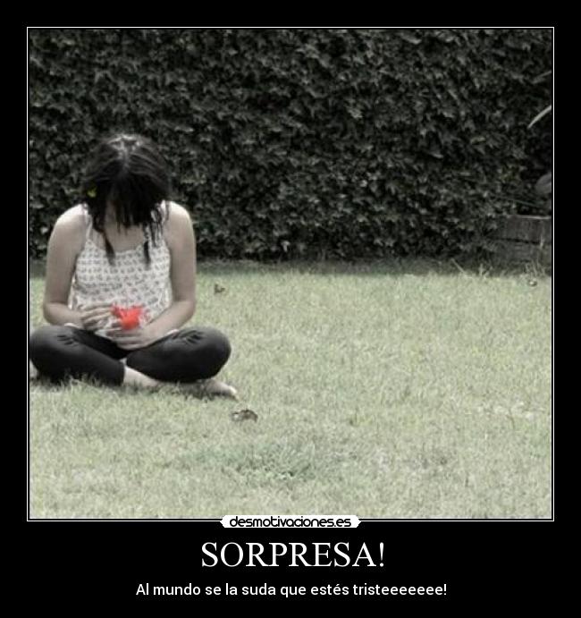 SORPRESA! - 