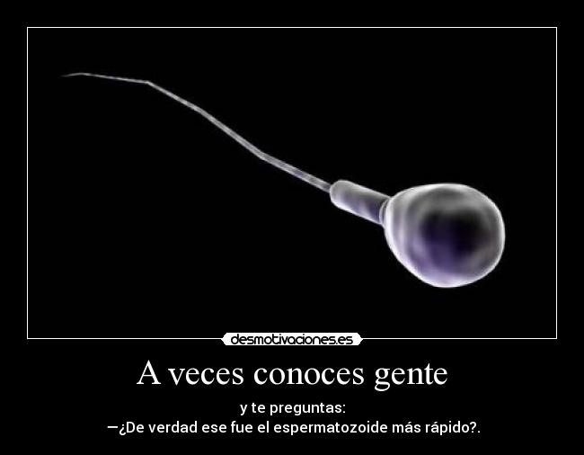 carteles conoces gente preguntas verdad fue espermatozoide mas rapido desmotivaciones