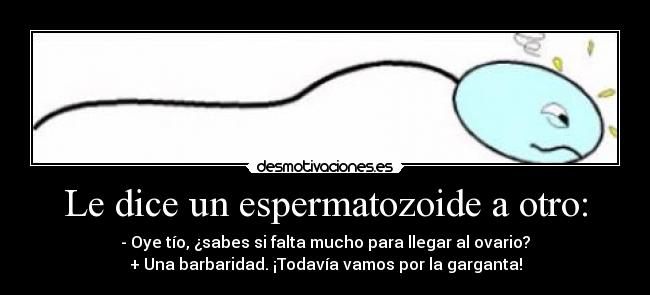 Le dice un espermatozoide a otro: - - Oye tío, ¿sabes si falta mucho para llegar al ovario?
+ Una barbaridad. ¡Todavía vamos por la garganta!