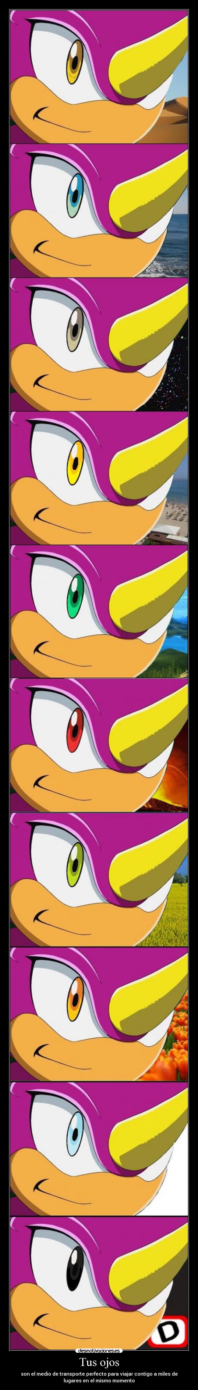 Tus ojos - son el medio de transporte perfecto para viajar contigo a miles de
lugares en el mismo momento