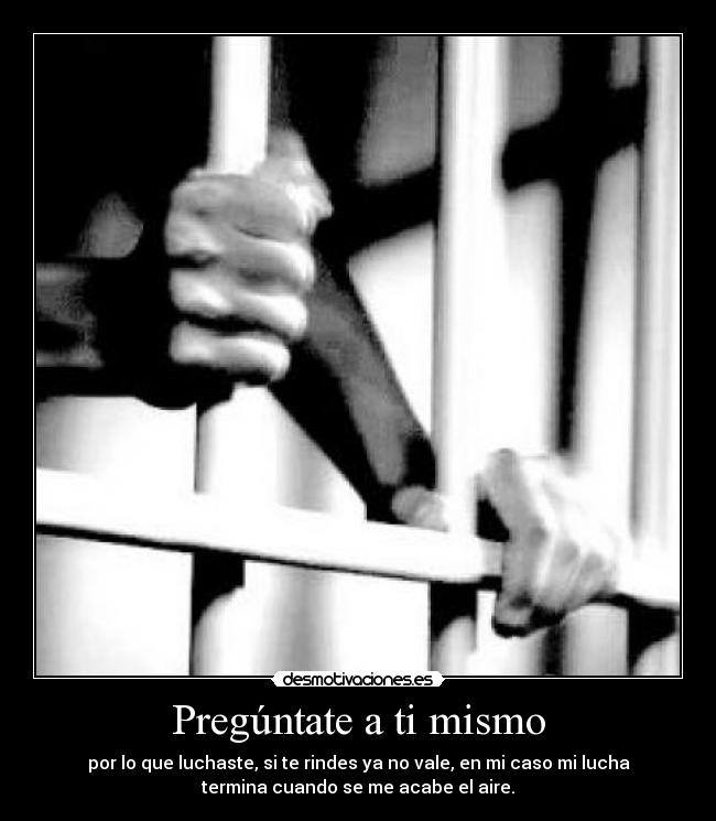 carteles preguntate mismo desmotivaciones