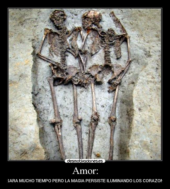 Amor: - 